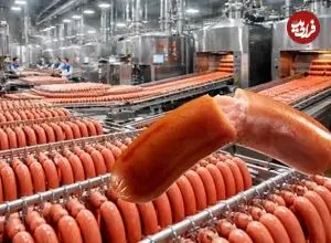 ببینید| سوسیس چگونه در کارخانه های برزیل تولید می شود؟