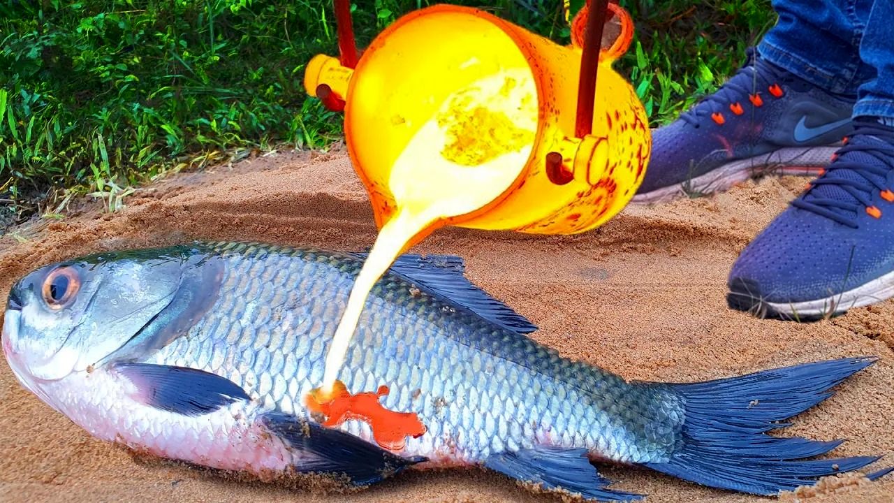 (ویدئو) اگر روی ماهی 5 کیلوگرمی مواد مذاب بریزید، چه اتفاقی می افتد؟