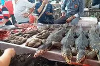 تصاویری بهت‌آور از بازار مواد غذایی در ووهان!