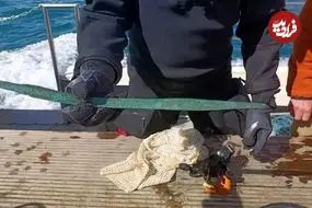 شمشیر 3 هزارساله از اعماق دریا بیرون آمد