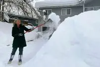 ببینید| دفن خودروها زیر برف سنگین در آلاسکا