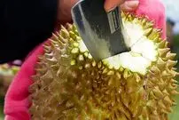 ببینید| غذای خیابانی در تایلند؛ پخت خوراک با گوشت گاو و دوریان در بانکوک