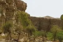 کشف گونۀ جدید «مارمولک» با انگشتان «برگی» و چشمان بزرگ در ایران