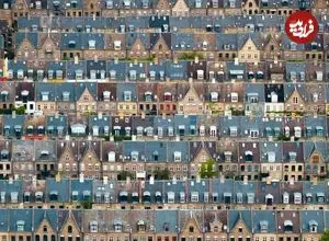 عکس| معماری شگفت‌انگیز خانه‌ها در مزارع سیب‌زمینی!