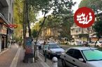 عکس؛ سفر در زمان؛ «5 جوان گیلانی در بلوار گلسار رشت، وقتی زمین خالی بود»؛ سال 1355
