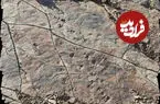 ردپاهای دایناسورها در ایران؛ میراثی که پیش از شناسایی کامل، نیازمند حفاظت است
