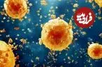 آخرین وضعیت آنفلوآنزا و کرونا در کشور