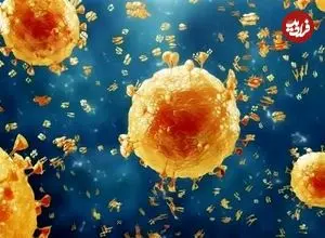 آخرین وضعیت آنفلوآنزا و کرونا در کشور