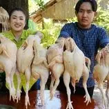 ببینید| غذای روستایی در کامبوج؛ پخت یک غذای محلی با مرغ با پیاز و تخم مرغ