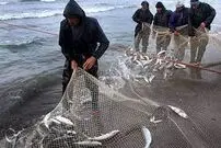 (ویدئو) لحظه صید ماهی۵۰ تا ۷۰ میلیون تومانی در بندر انزلی 
