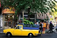 (تصاویر) در این نقطه از تهران، سبزترین موجودات جهان بغلتان می‌کنند