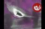 مرغ مگس‌خوار در قطب جنوب در عکس روز ناسا