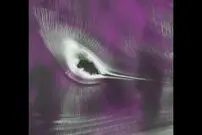 مرغ مگس‌خوار در قطب جنوب در عکس روز ناسا