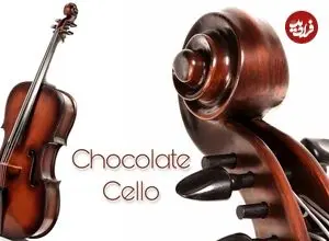 ببینید| فرآیند ساخت یک ویولنسل با شکلات و به روش قناد آمریکایی