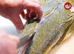 ببینید| غذای خیابانی در ژاپن؛ برش و تهیه غذا با سوسمار ماهی در اوکیناوا