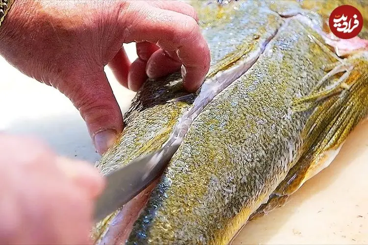 ببینید| غذای خیابانی در ژاپن؛ برش و تهیه غذا با سوسمار ماهی در اوکیناوا