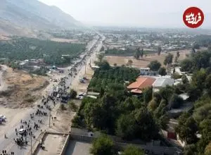 عکس| سفر به ایران قدیم؛ دختر کازرونی سوار بر گاو؛ 135 سال قبل