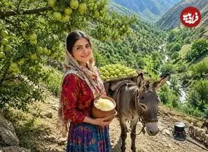 ببینید| غذای روستایی در ایران؛ برداشت سیب از جنگل و تهیه کیک و کمپوت با آن