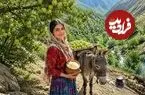 ببینید| غذای روستایی در ایران؛ برداشت سیب از جنگل و تهیه کیک و کمپوت با آن