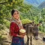 ببینید| غذای روستایی در ایران؛ برداشت سیب از جنگل و تهیه کیک و کمپوت با آن
