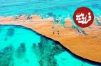 تصاویر؛ دریای بی‌ساحل؛ شگفتی پنهان اقیانوس اطلس را بشناسید!