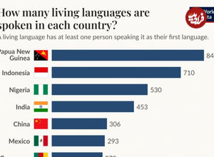 کدام کشورها بیشترین تعداد زبان ها را دارند؟ + نمودار