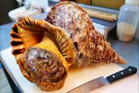 ببینید| غذای خیابانی در ژاپن؛ تهیه ساشیمی و غذاهای متنوع با صدف حلزونی ترومپت غول پیکر در اوکیناوا