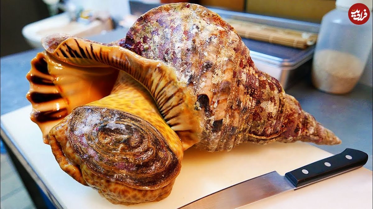 ببینید| غذای خیابانی در ژاپن؛ تهیه ساشیمی و غذاهای متنوع با صدف حلزونی ترومپت غول پیکر در اوکیناوا