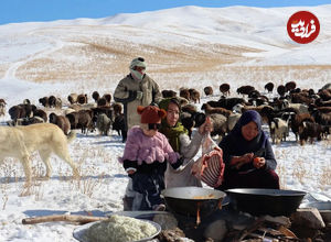 (ویدئو) غذای عشایری در افغانستان؛ پخت یک غذای سنتی با گوشت بره و برنج