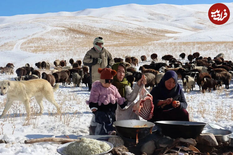 (ویدئو) غذای عشایری در افغانستان؛ پخت یک غذای سنتی با گوشت بره و برنج