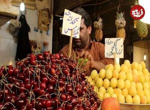 عکس؛ قیمت یک کیلو گیلاس نیم میلیون تومان!؛ بازار میوه‌های تابستانی در شوک گرانی