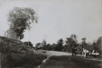(تصاویر) مردی که اولین بار در ایران «چای» کاشت