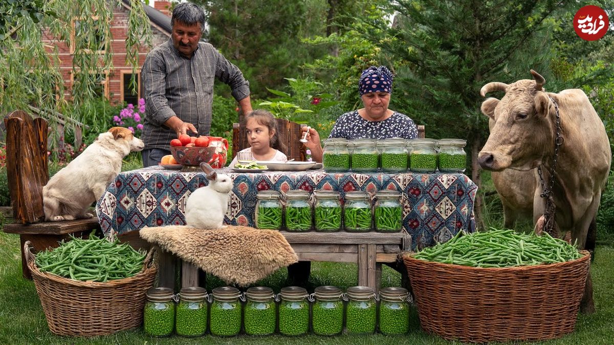 ببینید؛ غذای روستایی در آذربایجان؛ برداشت لوبیاسبز و تهیه کنسرو و پخت غذا با آن