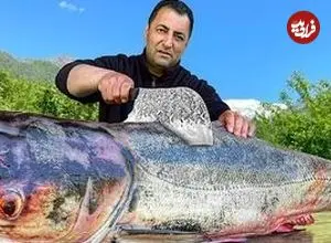 ببینید| غذای روستایی در آذربایجان؛ کباب کردن ماهی کپور نقره ای غول پیکر