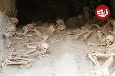 چرا مغز انسان دارد کوچکتر می‌شود؟
