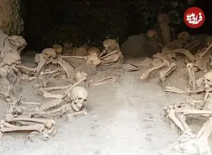 چرا مغز انسان دارد کوچکتر می‌شود؟