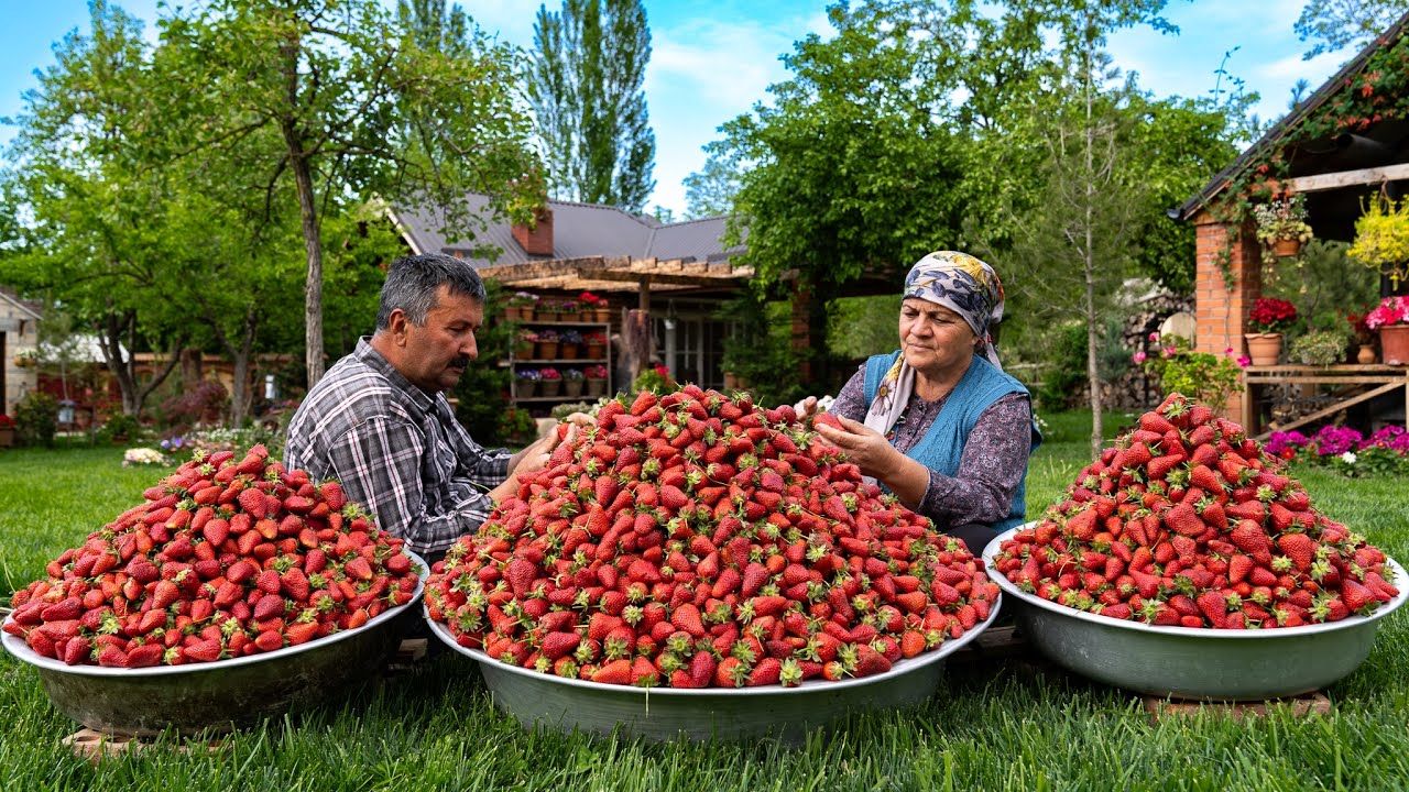 (ویدئو) فرآیند پخت 40 کیلو مربای توت فرنگی به روش یک زوج روستایی آذربایجانی