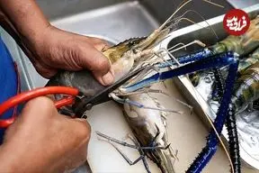 ببینید| غذای خیابانی در تایلند؛ تهیه یک غذای محبوب با شاه میگو در بانکوک