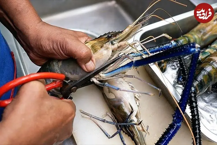 ببینید| غذای خیابانی در تایلند؛ تهیه یک غذای محبوب با شاه میگو در بانکوک