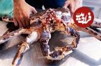 ببینید؛ غذای خیابانی در تایلند؛ پخت غذا با خرچنگ آلاسکایی غول پیکر در بانکوک