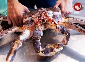 ببینید؛ غذای خیابانی در تایلند؛ پخت غذا با خرچنگ آلاسکایی غول پیکر در بانکوک