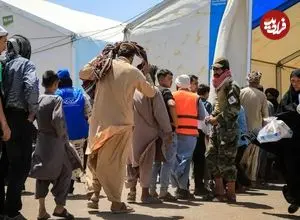 کاهش ۳۰ درصدی جرم و جنایت پس از طرد اتباع غیر مجاز افغان؛ مصرف آرد ماهانه ۵۵۰۰ تن کاهش پیدا کرده