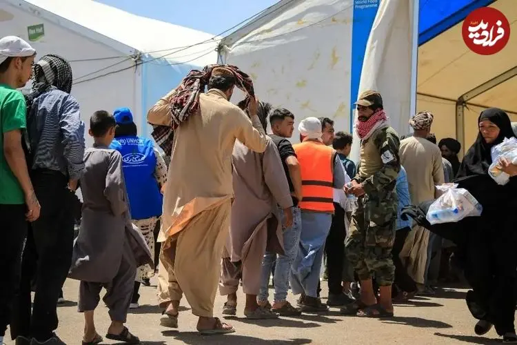 کاهش ۳۰ درصدی جرم و جنایت پس از طرد اتباع غیر مجاز افغان؛ مصرف آرد ماهانه ۵۵۰۰ تن کاهش پیدا کرده