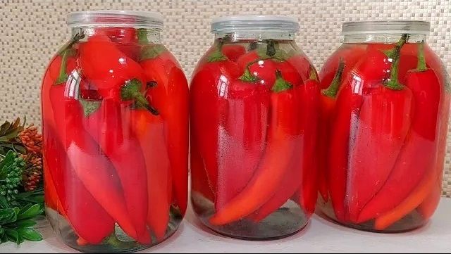 (ویدئو) طرز تهیه ترشی فلفل دلمه ای به سبک و سیاق آشپز روسی