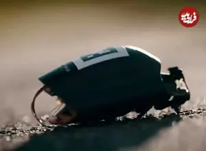 ببینید| آلمان‌ها از سوسک‌های جاسوسی رونمایی کردند! 