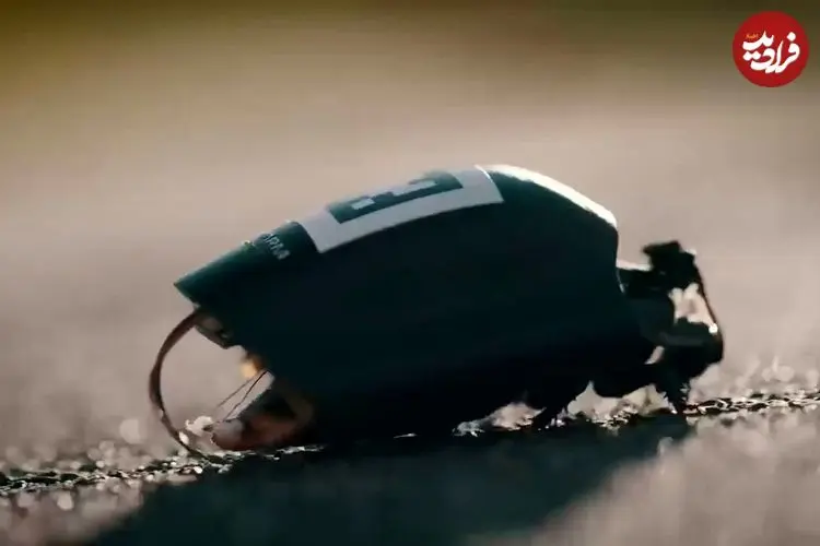 ببینید| آلمان‌ها از سوسک‌های جاسوسی رونمایی کردند! 