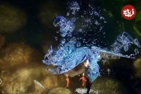  تصاویر خیره‌کننده از شیرجه‌های برق‌آسای «ماهی‌خورک» در دل آب