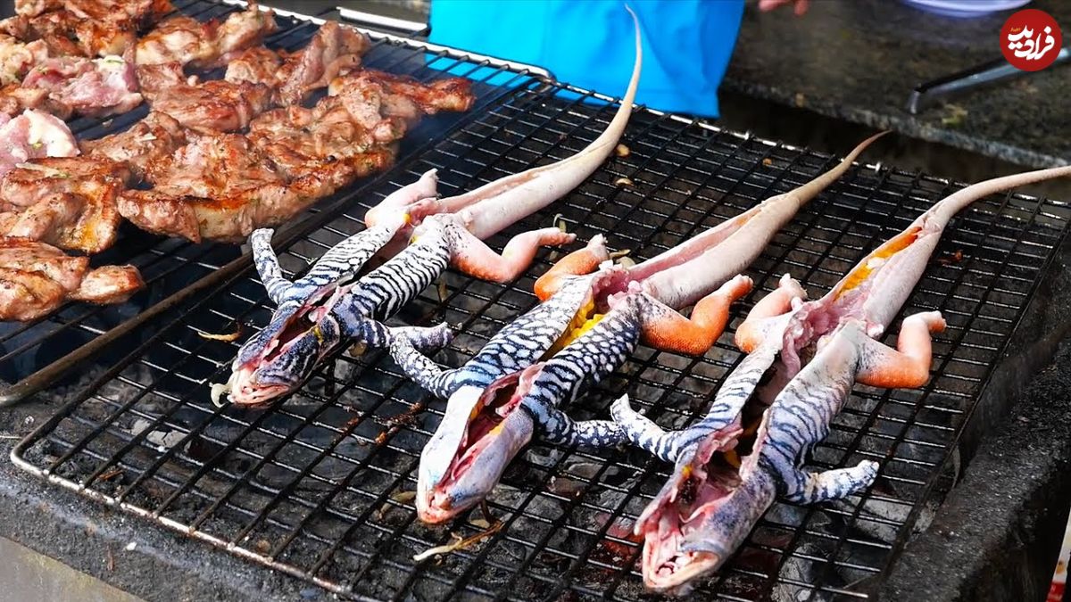 ببینید؛ غذای خیابانی در ویتنام؛ پخت غذاهای مختلف با مارمولک شنی در موی نه 