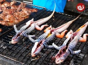 ببینید؛ غذای خیابانی در ویتنام؛ پخت غذاهای مختلف با مارمولک شنی در موی نه 