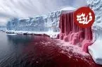 ببینید؛ راز آبشار خون در جنوبگان، چرا یخ خون می‌ریزد؟